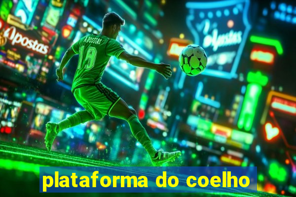 plataforma do coelho